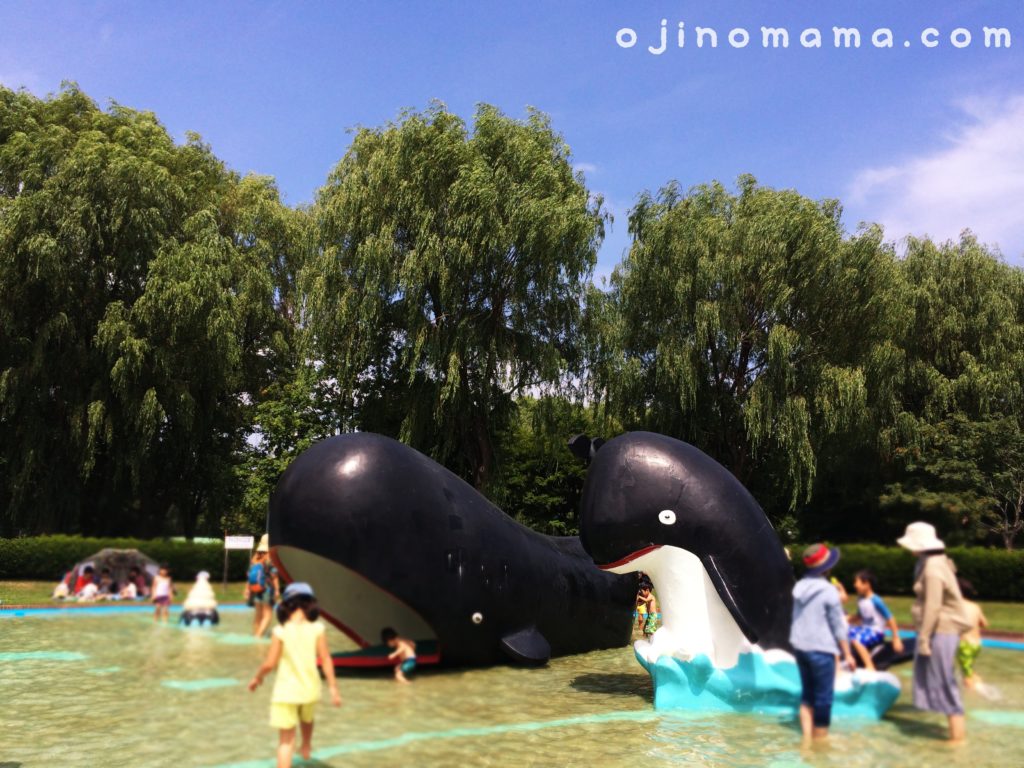 農試公園札幌でオススメの水遊び場