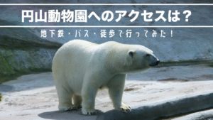 円山動物園地下鉄バス徒歩のアクセス方法