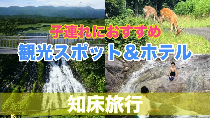 知床旅行 子連れにおすすめの観光スポット7選 ホテル3選 サッポロママログ